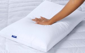 Down Pillow
