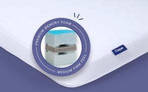 Foam Pillow with Snow Technology Double Pack