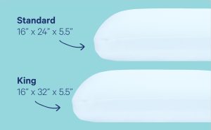 Hybrid Snow Pillow Double Pack