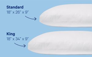 Original Pillow Double Pack